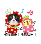白黒 金ちゃん（個別スタンプ：8）
