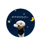 太郎くんの日常（個別スタンプ：3）