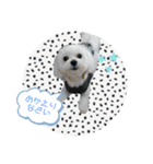 太郎くんの日常（個別スタンプ：4）