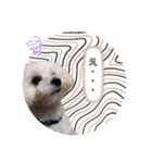 太郎くんの日常（個別スタンプ：5）