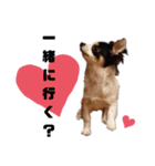 そぼろの日常2（個別スタンプ：11）