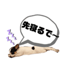 そぼろの日常2（個別スタンプ：23）