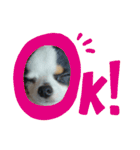 SOBORO！！（個別スタンプ：1）
