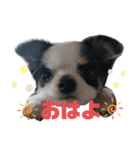 SOBORO！！（個別スタンプ：5）
