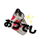 SOBORO！！（個別スタンプ：8）