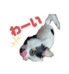 SOBORO！！（個別スタンプ：18）