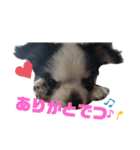 SOBORO！！（個別スタンプ：19）