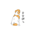 JRT  ジャックラッセルテリアのうちの子2（個別スタンプ：1）