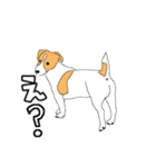 JRT  ジャックラッセルテリアのうちの子2（個別スタンプ：2）