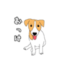 JRT  ジャックラッセルテリアのうちの子2（個別スタンプ：6）