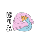 JRT  ジャックラッセルテリアのうちの子2（個別スタンプ：8）