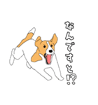 JRT  ジャックラッセルテリアのうちの子2（個別スタンプ：9）