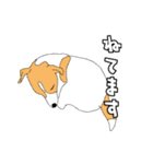 JRT  ジャックラッセルテリアのうちの子2（個別スタンプ：11）