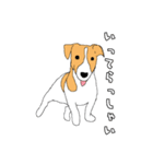 JRT  ジャックラッセルテリアのうちの子2（個別スタンプ：13）