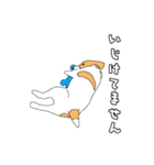 JRT  ジャックラッセルテリアのうちの子2（個別スタンプ：14）