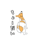 JRT  ジャックラッセルテリアのうちの子2（個別スタンプ：15）