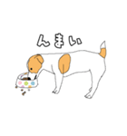 JRT  ジャックラッセルテリアのうちの子2（個別スタンプ：16）