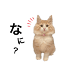 Randyの日常（個別スタンプ：10）