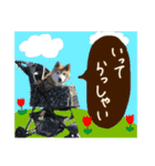 ゴンのおしゃべり3（個別スタンプ：21）