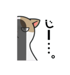 白猫と黒猫スタンプ（個別スタンプ：6）