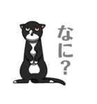 白猫と黒猫スタンプ（個別スタンプ：13）
