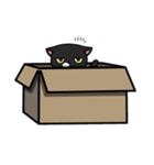 白猫と黒猫スタンプ（個別スタンプ：15）