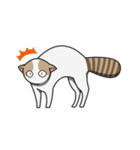 白猫と黒猫スタンプ（個別スタンプ：16）