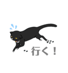 白猫と黒猫スタンプ（個別スタンプ：17）