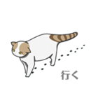 白猫と黒猫スタンプ（個別スタンプ：18）