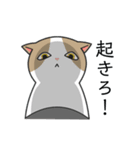 白猫と黒猫スタンプ（個別スタンプ：20）