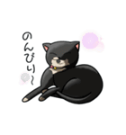 白猫と黒猫スタンプ（個別スタンプ：23）