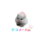 ハムすたんぷ No.1（個別スタンプ：13）
