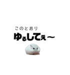 ハムすたんぷ No.1（個別スタンプ：14）
