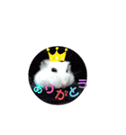 ハムすたんぷ No.1（個別スタンプ：16）