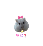 ハムすたんぷ No.1（個別スタンプ：21）