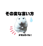 ハムすたんぷ No.1（個別スタンプ：22）