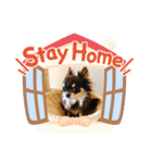 チームらんまるズ（個別スタンプ：9）