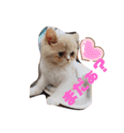 チームらんまるズ（個別スタンプ：34）