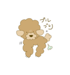 モフモフ mof（個別スタンプ：1）