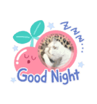 あおぞらにゃんず（個別スタンプ：3）