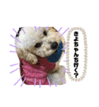 麦ちゃん's stamp（個別スタンプ：8）