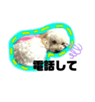 麦ちゃん's stamp（個別スタンプ：13）