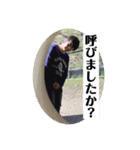 レオン君の思いやりスタンプ（個別スタンプ：6）