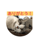 球あいさつ2（個別スタンプ：2）
