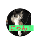 球あいさつ2（個別スタンプ：5）