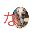 腹立ついずも（個別スタンプ：3）