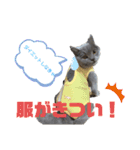 lucca.co.jp（個別スタンプ：11）