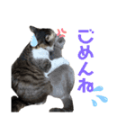 lucca.co.jp（個別スタンプ：16）
