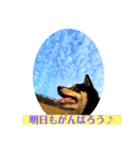 黒柴『銀河くん』日常スタンプ（個別スタンプ：4）