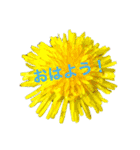 ふらわーず02（個別スタンプ：3）